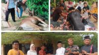 IMG-20260527-WA0033